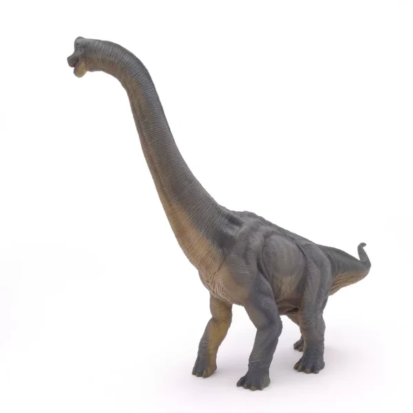 Papo Figurina Dinozaur Brachiosaurus 2