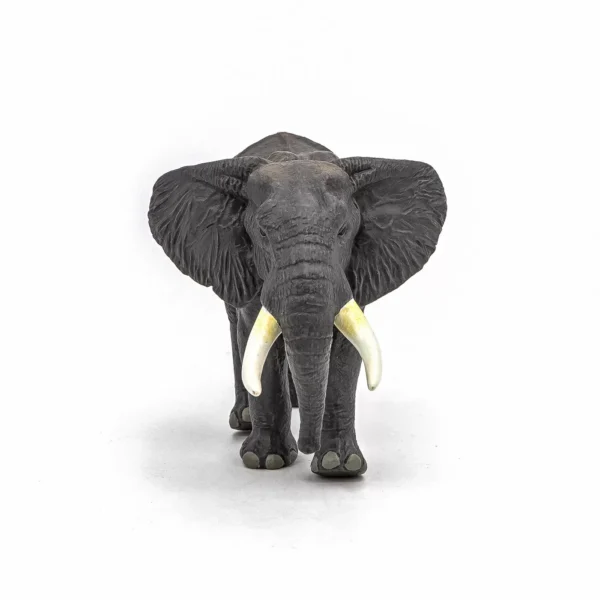 Papo Figurina Elefantul African 4